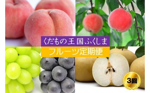 フルーツ定期便3種（桃・ブドウ・梨）